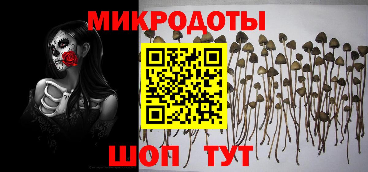 наркошоп  Галлюциногенные грибы мухоморы  Вход с VPN  Малгобек  Псилоцибиновые грибы MAGIC MUSHROOMS 